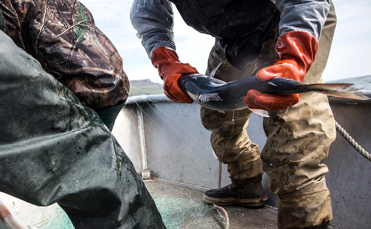 США ужесточили запрет на импорт российских лосося, минтая, трески и краба
